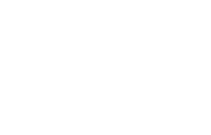 Logo Elsa Aio